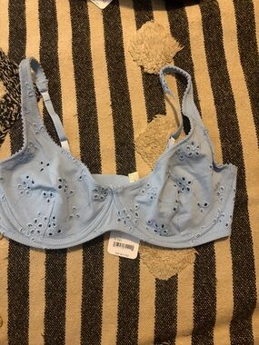 Free People Light Blue Eyelet Embroidered Underwire Bra